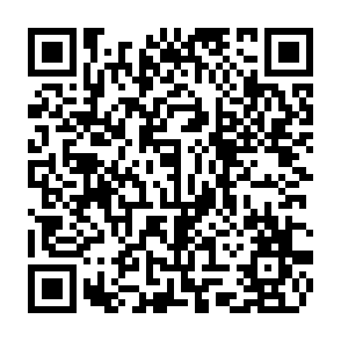 QR code for plate TQN 383