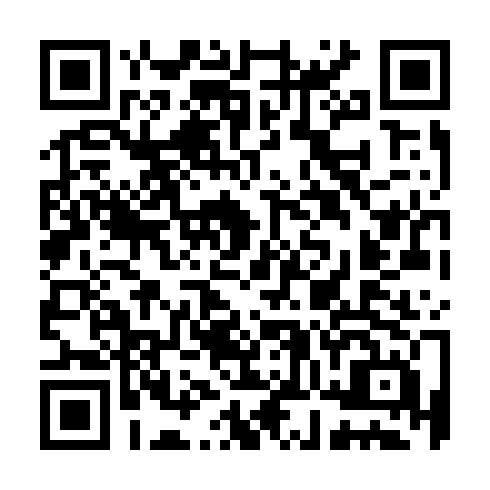 QR code for TRI313