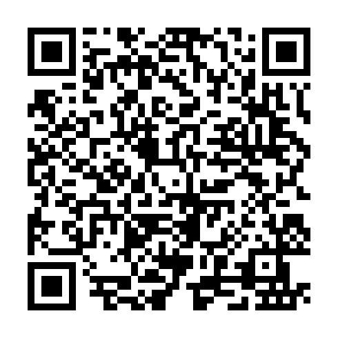 QR code for TSA 370