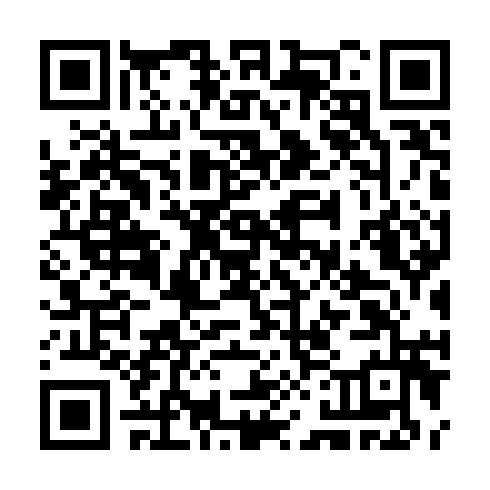 QR code for plate TSB 919