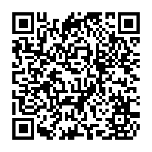QR code for TSE 295