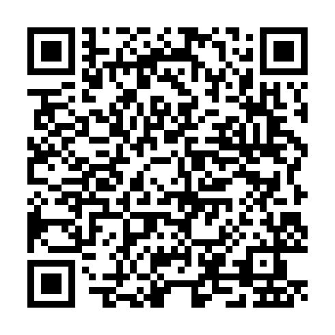 QR code for TSR 295