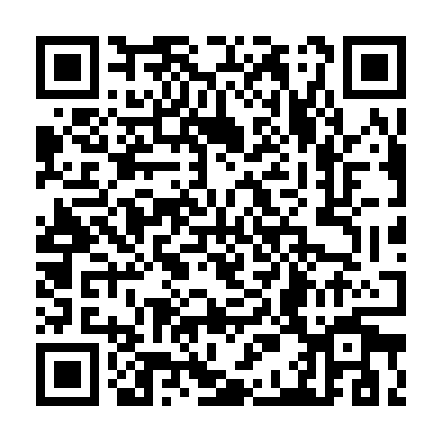 QR code for plate TST 333
