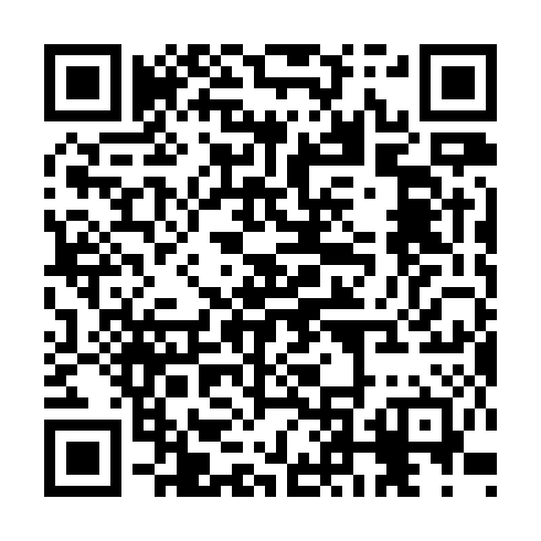 QR code for TSX095