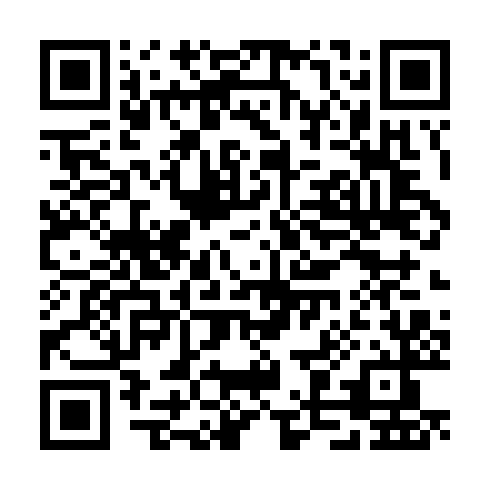 QR code for TTF 991