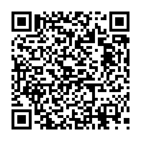 QR code for TTI 029