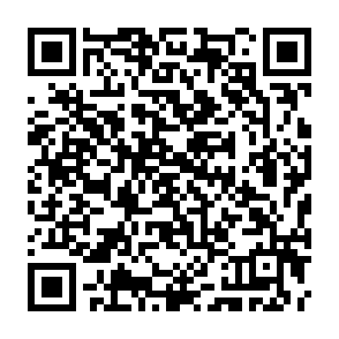 QR code for TTI 913