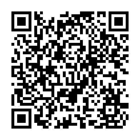 QR code for TTM 095