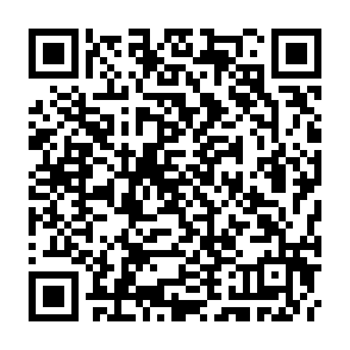 QR code for TTP 993