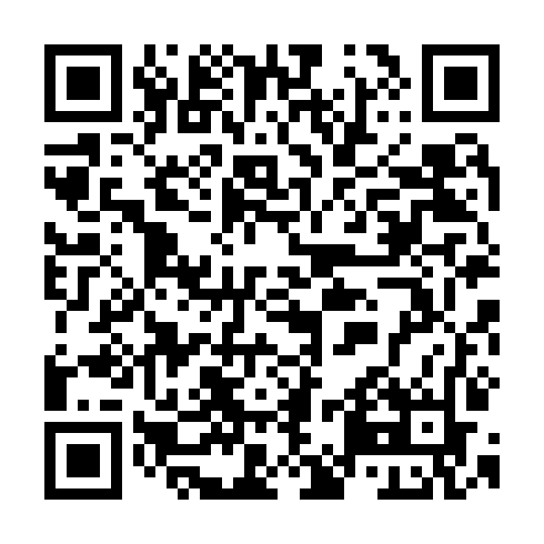 QR code for TTU 295