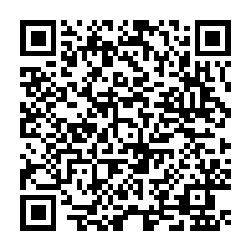 QR code for TTU 919