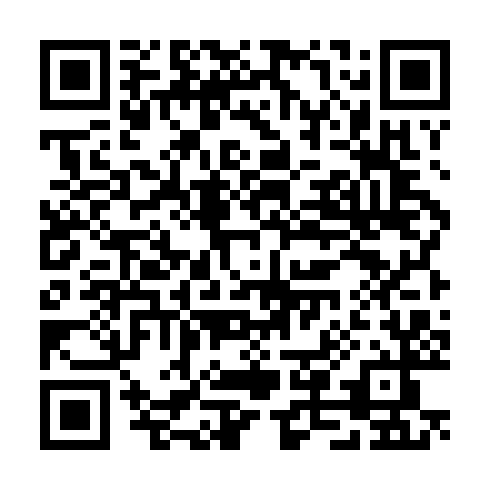 QR code for TTX 384