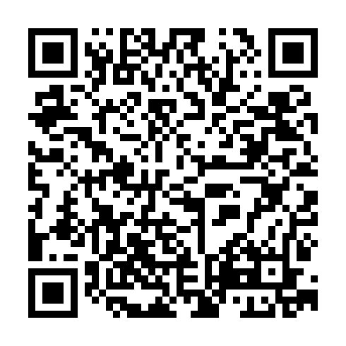QR code for TUR 868