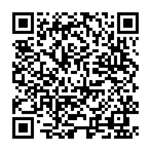 QR code for TVX 313