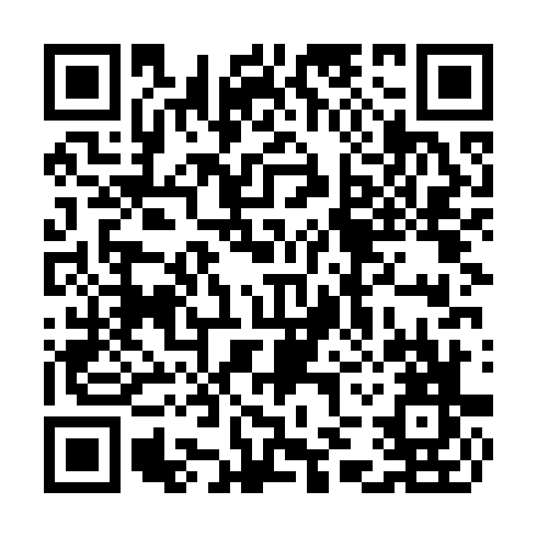 QR code for TWO 295