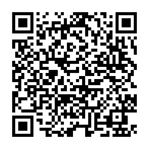 QR code for TXG 313