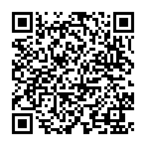 QR code for TXI 919