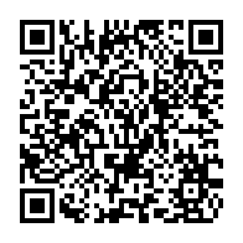 QR code for TXI381
