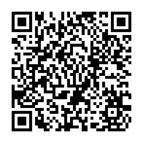 QR code for TXM 393