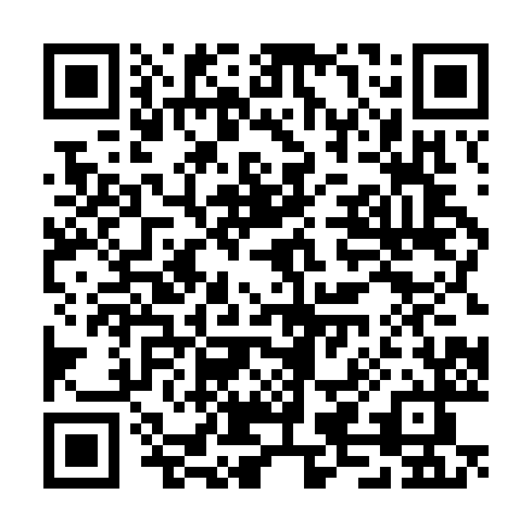 QR code for TXN 383