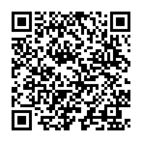 QR code for TXN 917