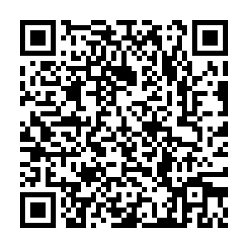 QR code for plate TYE 043