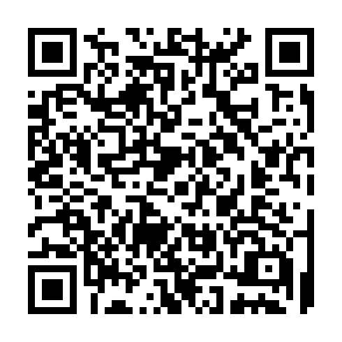 QR code for TYI 291