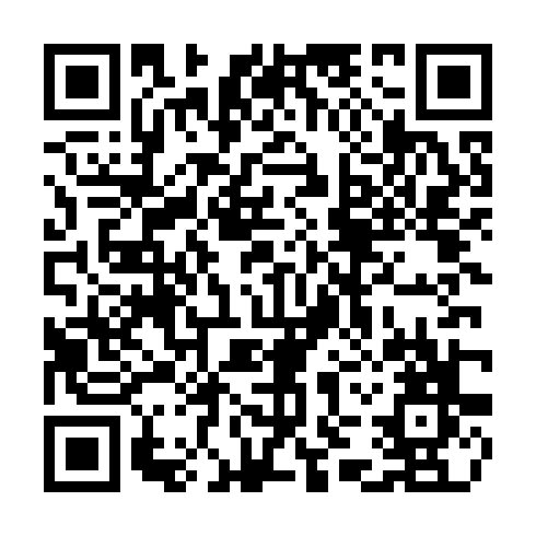 QR code for plate TYN 503