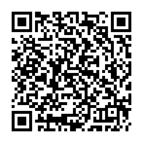 QR code for plate TYN 585