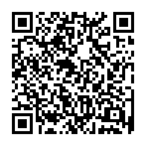 QR code for TYS 919