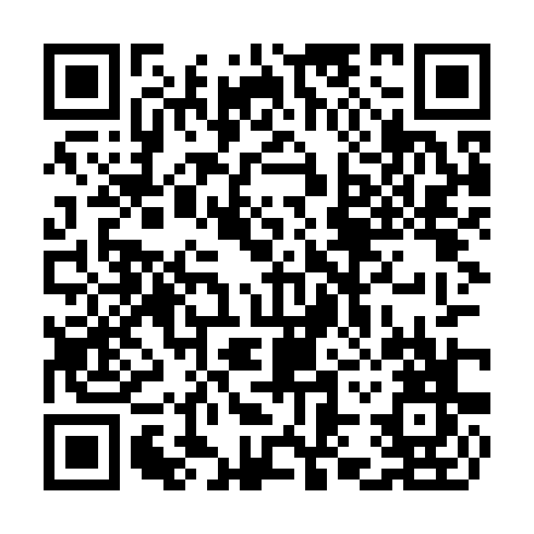 QR code for TYZ 290