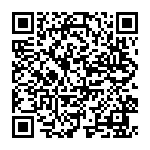 QR code for TZD541