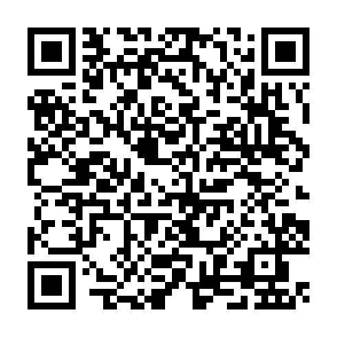QR code for TZF913