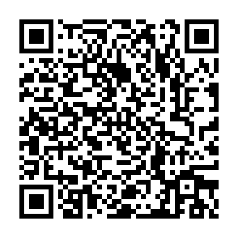 QR code for plate TZH 513
