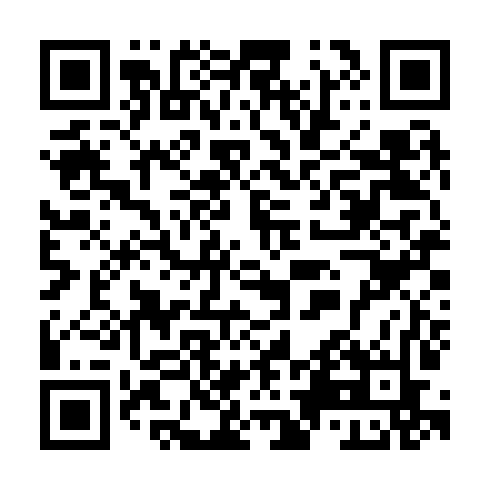 QR code for TZI 100