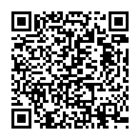 QR code for TZL 685