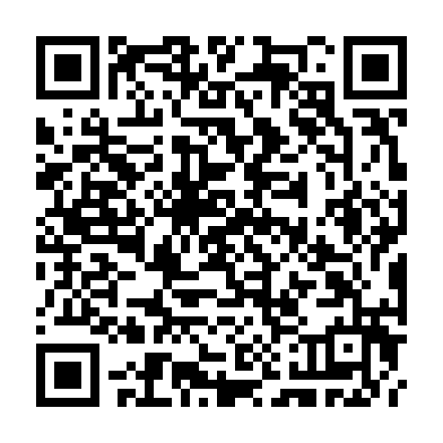 QR code for TZL 994