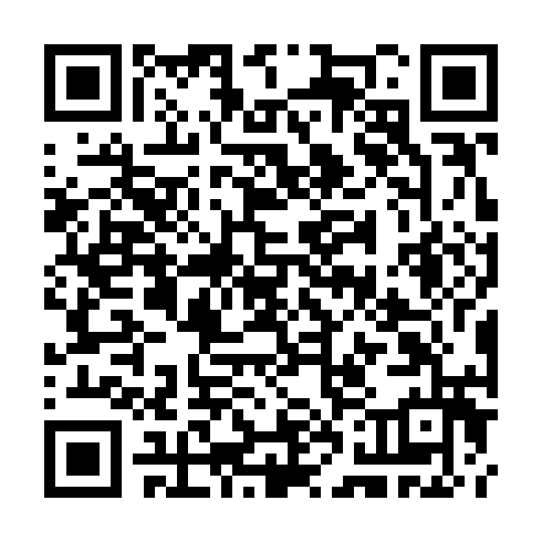 QR code for TZM 384