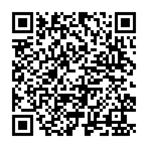 QR code for TZO 991