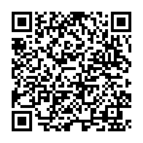 QR code for plate TZV 919
