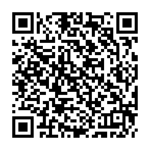 QR code for TZY 291
