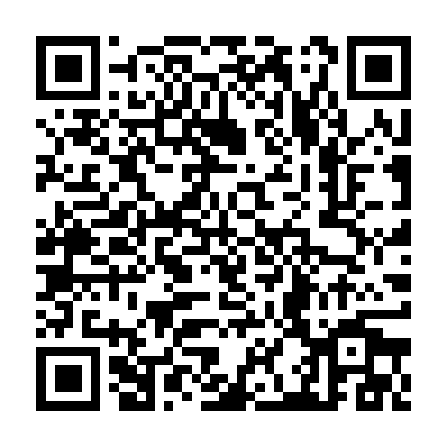 QR code for TZZ 091