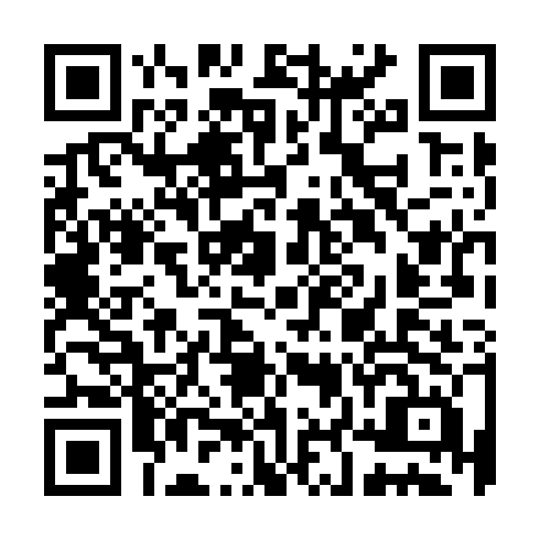 QR code for TZZ 319