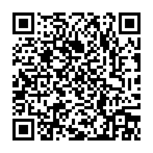 QR code for TZZ 393
