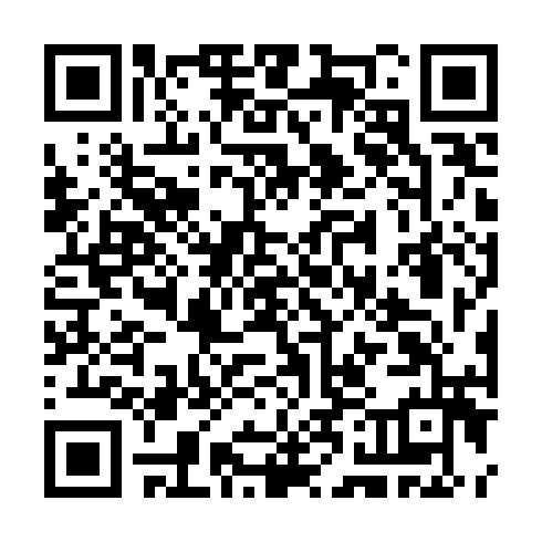 QR code for TZZ 603