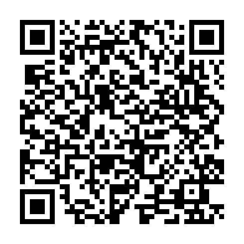 QR code for TZZ 787