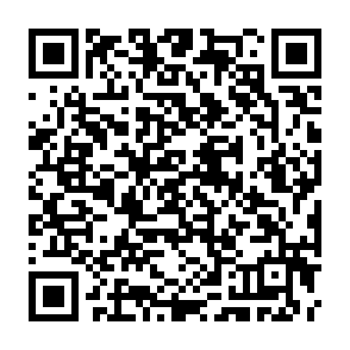QR code for TZZ 911