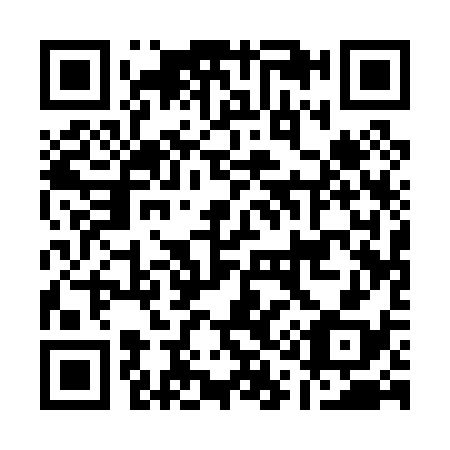 QR code for A11038