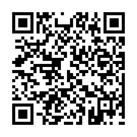 QR code for A13272