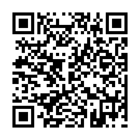 QR code for A13738